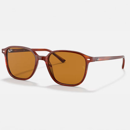 GAFAS DE SOL RB2193 LEONARD