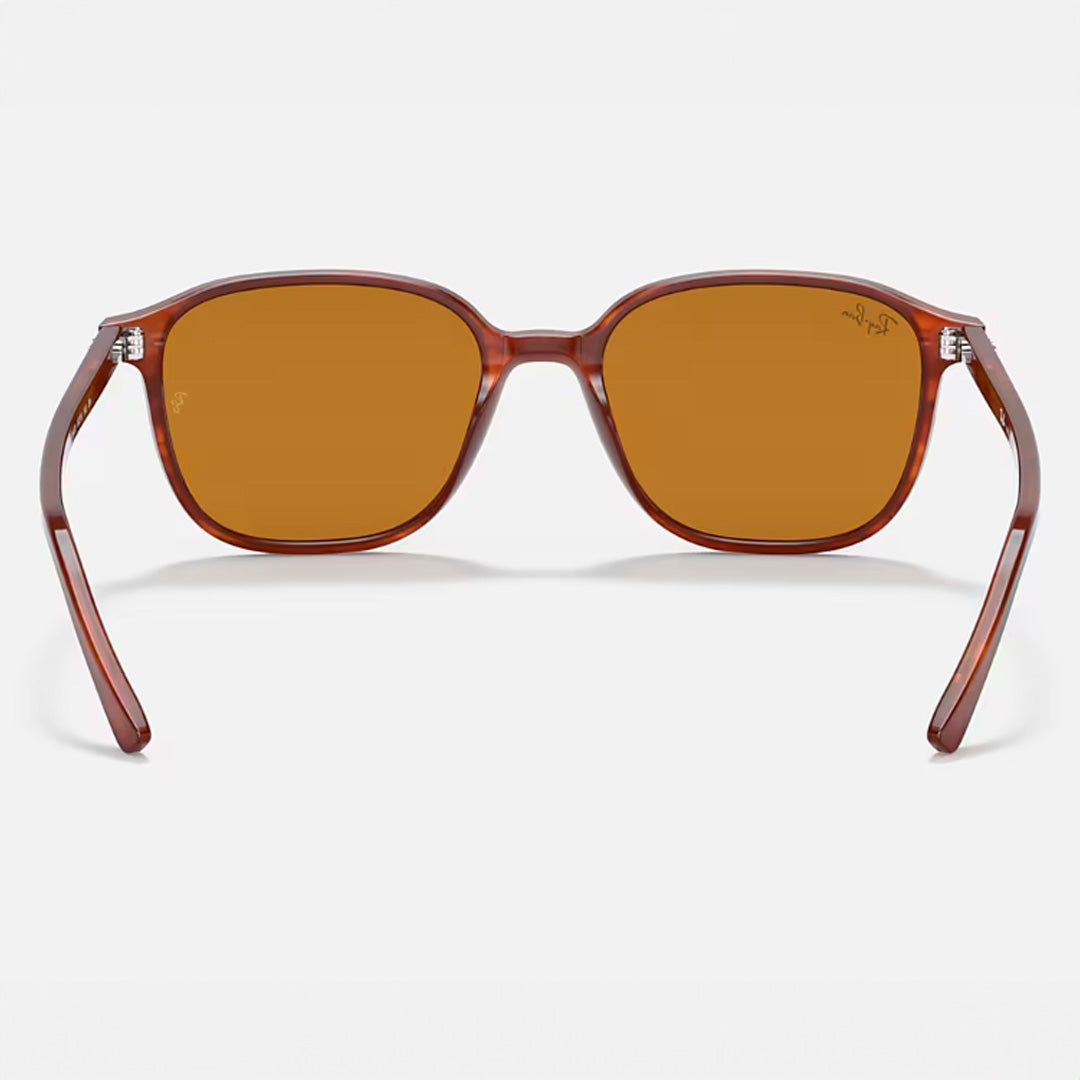 GAFAS DE SOL RB2193 LEONARD