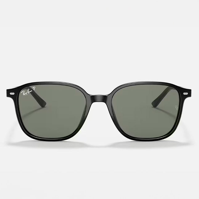 GAFAS DE SOL RB2193 LEONARD