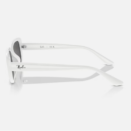 Gafas de Sol RB4421D Rectangulares Unisex UV400