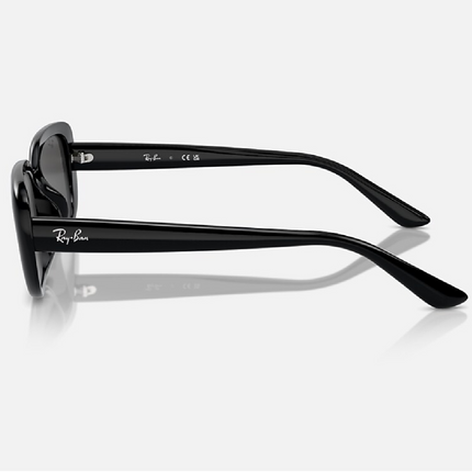 Gafas de Sol RB4421D Rectangulares Unisex UV400