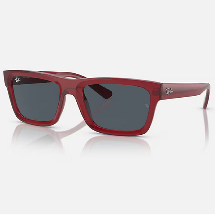 Gafas de Sol Warren RB4396 Unisex UV400