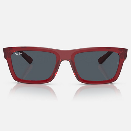 Gafas de Sol Warren RB4396 Unisex UV400