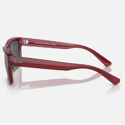 Gafas de Sol Warren RB4396 Unisex UV400