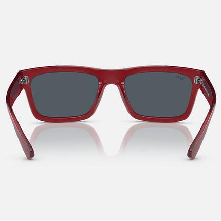 Gafas de Sol Warren RB4396 Unisex UV400