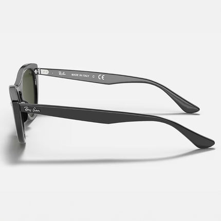 GAFAS SOL RB 4314N NINA